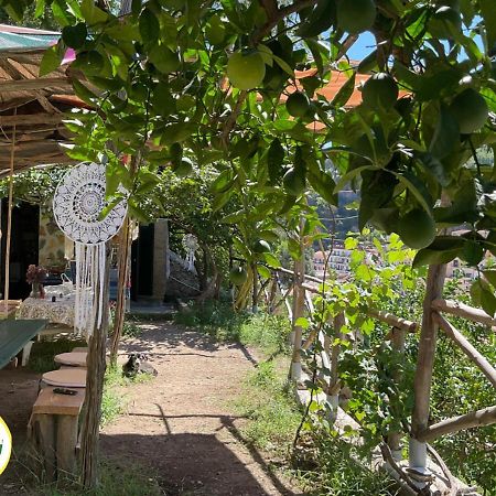 Cetara Camping Amalfitan Coast Hotel ภายนอก รูปภาพ